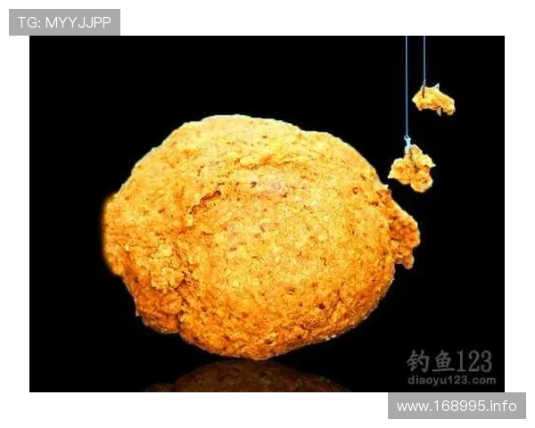 钓鱼频道直播：高手实战技巧与装备全解析